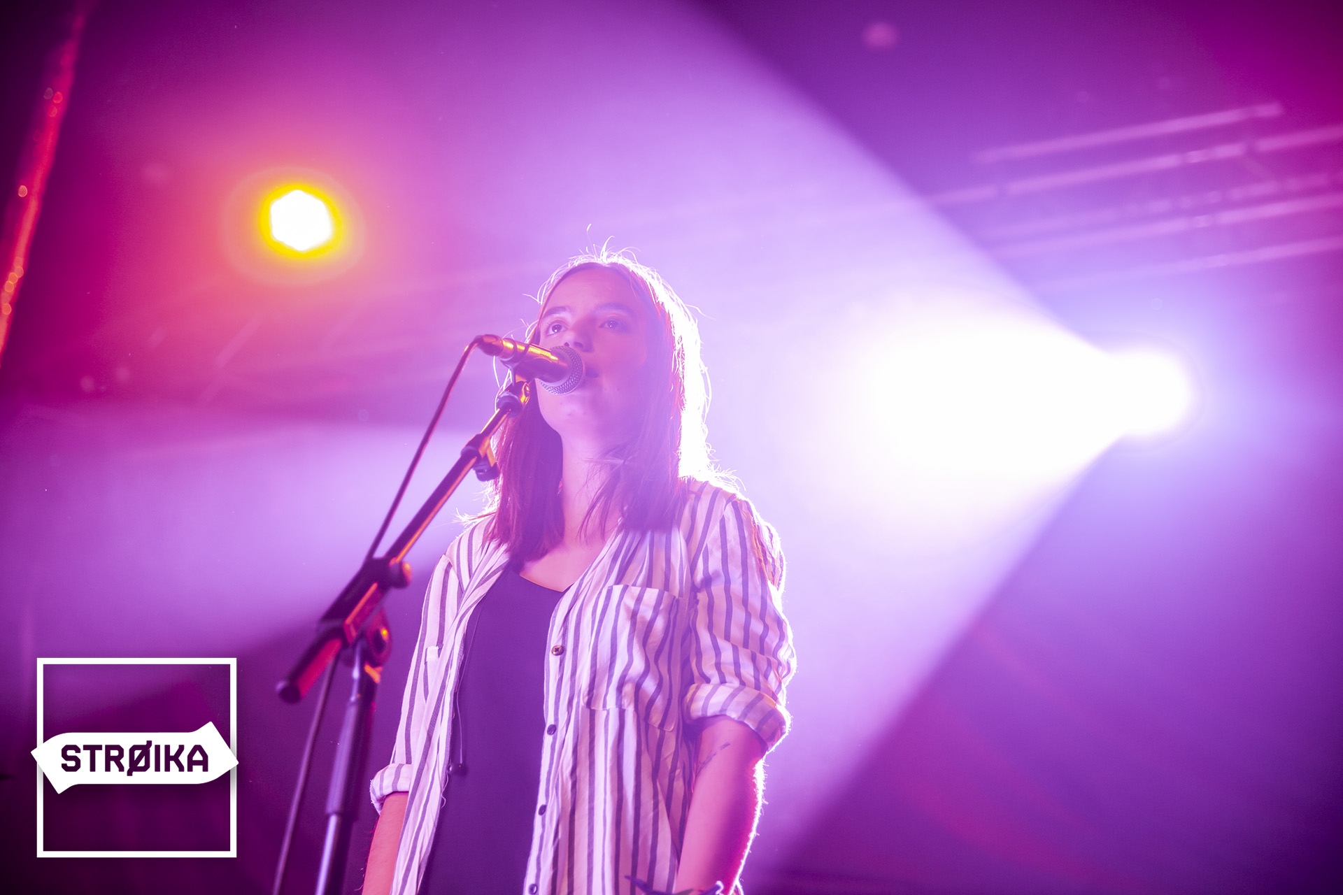 IMG 4708 copy