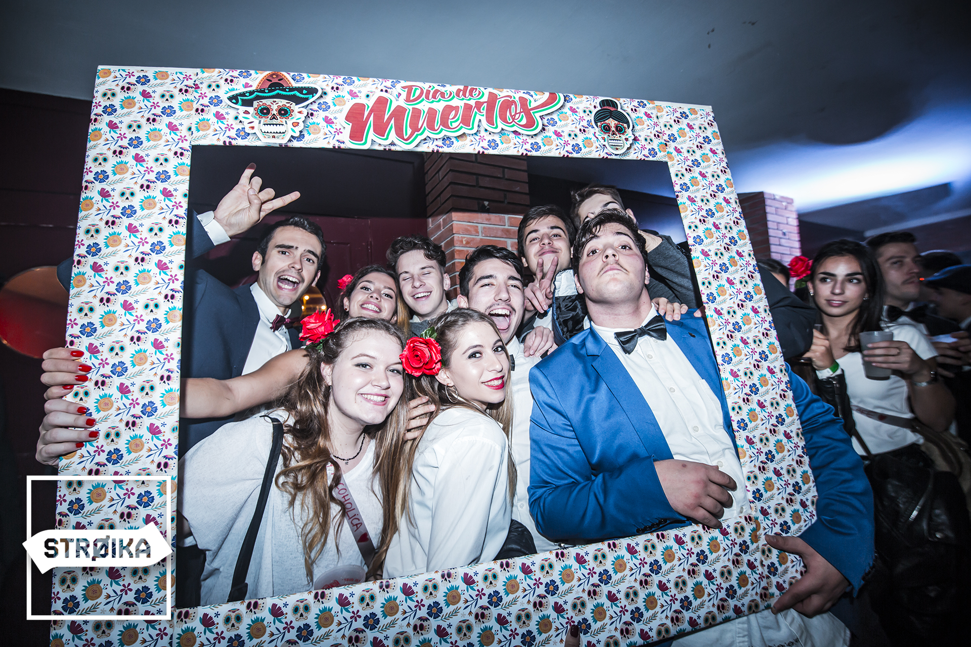 IMG 4201 copy