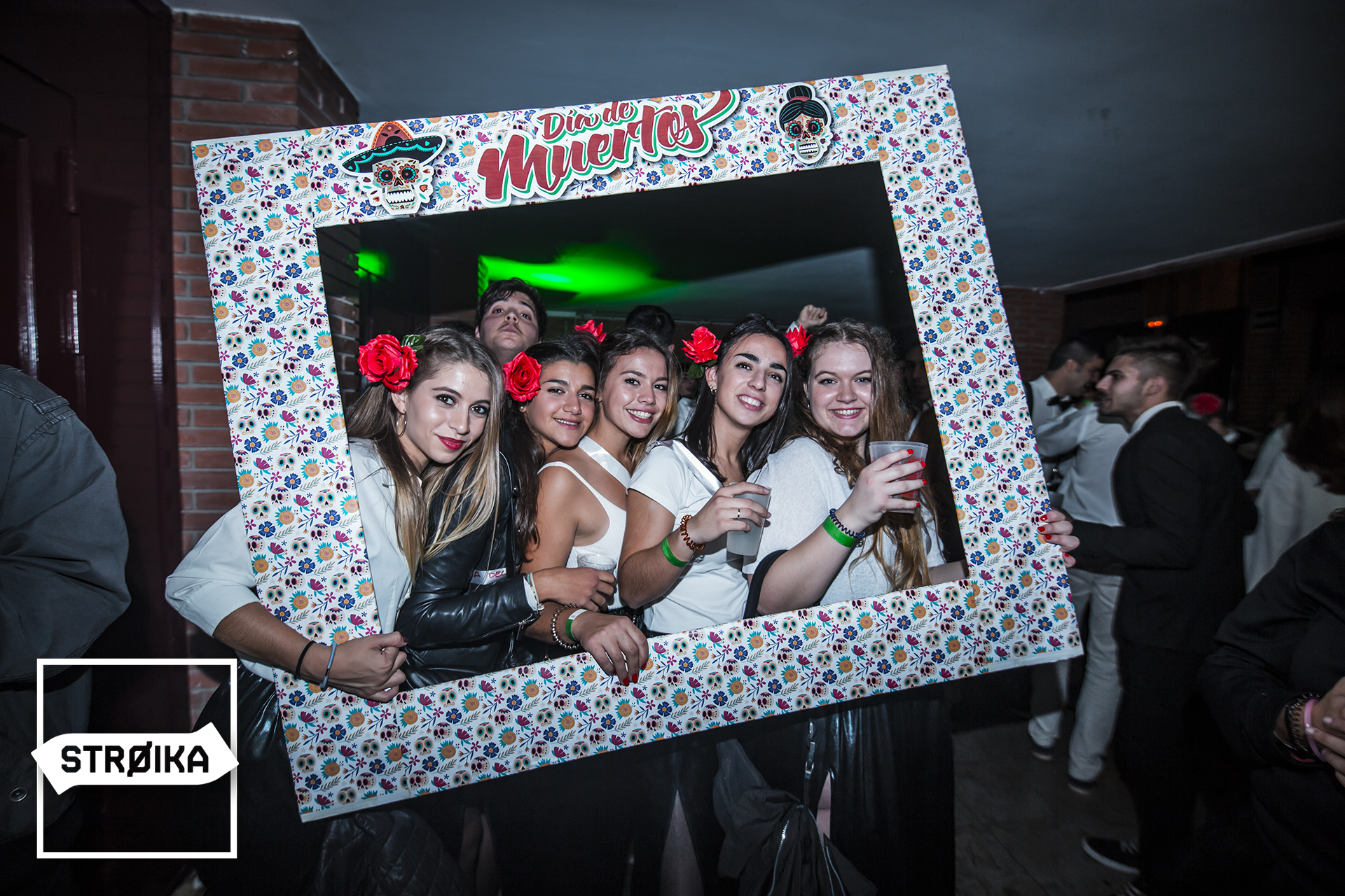 IMG 4209 copy