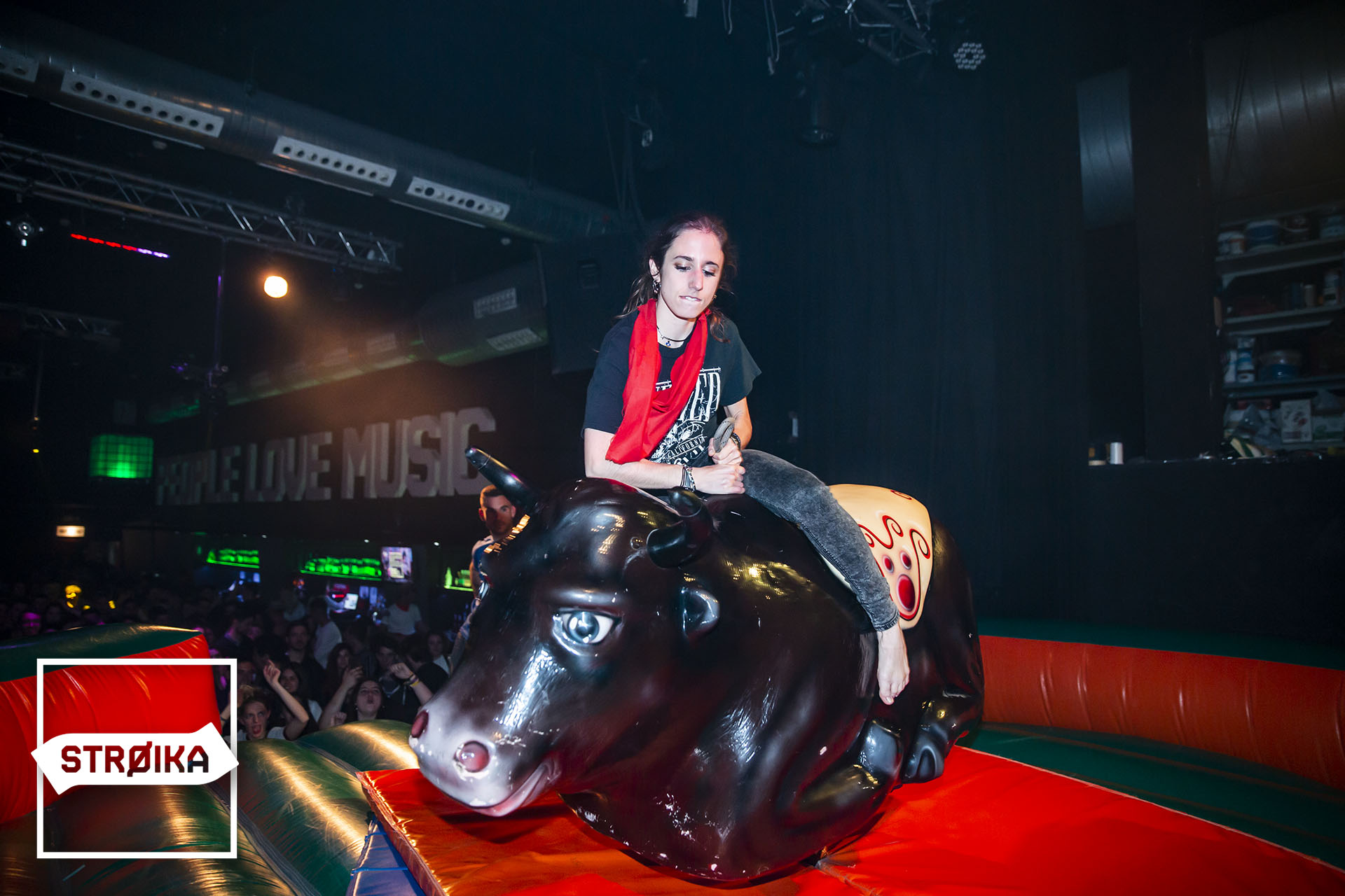 IMG 3379 copy