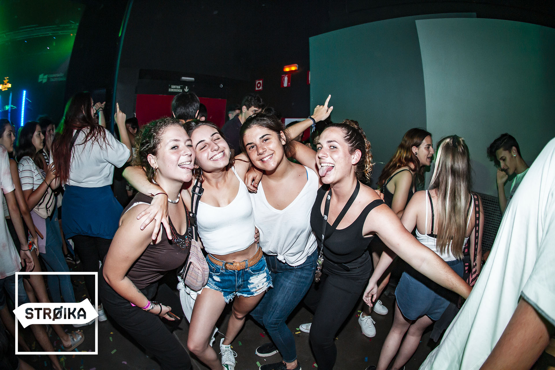 IMG 3133 copy